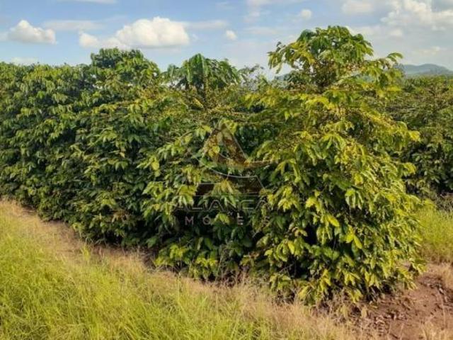 Fazenda para venda em Centro, Itirapuã