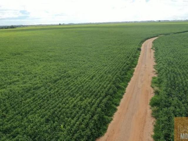 Fazenda para venda em Centro, Ivinhema