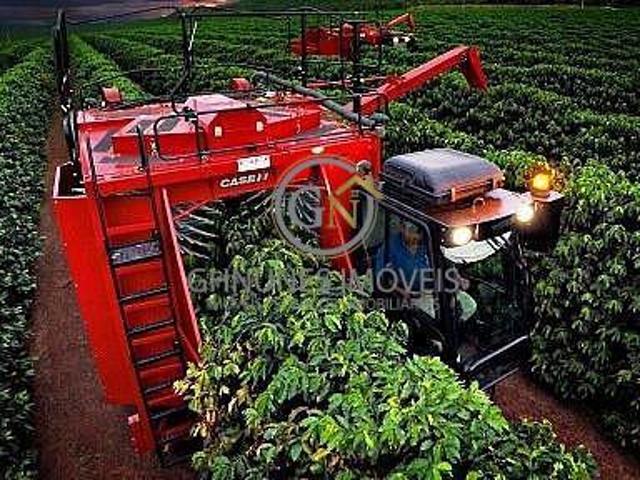 Fazenda para venda em Centro, Ibiá