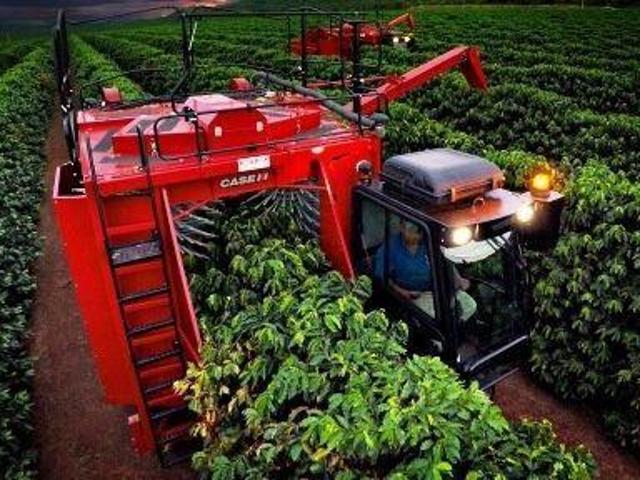 Fazenda para venda em Centro, Ibiá