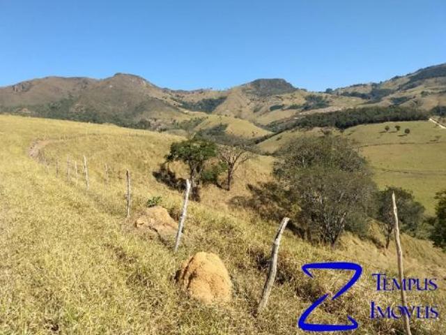 Fazenda para venda em Centro, Ilicínea