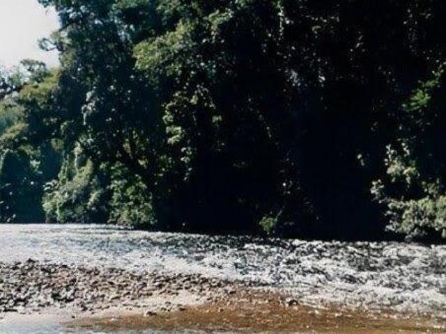 Fazenda para venda em Centro, Iporanga