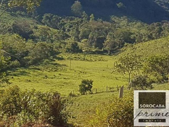 Fazenda para venda em Centro, Iporanga