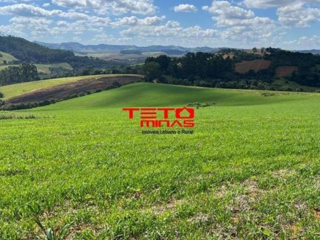 Fazenda para venda em Centro, Ipuiúna