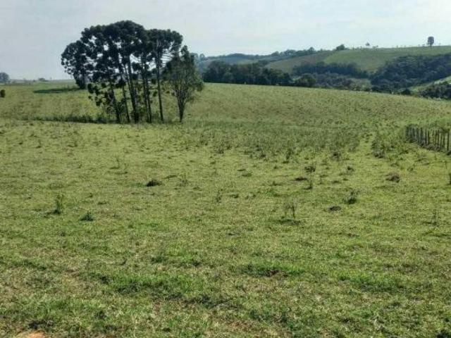 Fazenda para venda em Centro, Ipuiúna