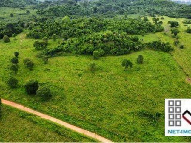 Fazenda para venda em Centro, Juara