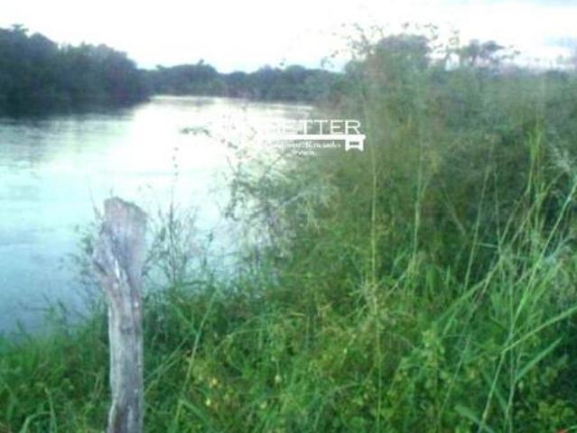 Fazenda para venda em Centro, Juvenília