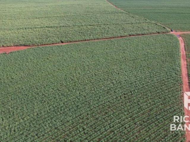 Fazenda para venda em Centro, Jaguapitã