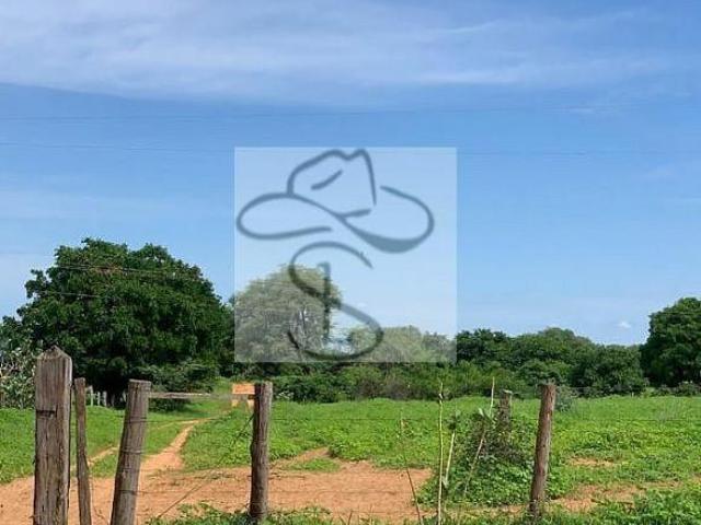 Fazenda para venda em Centro, Jaíba