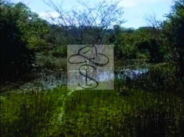 Fazenda para venda em Centro, Jaíba