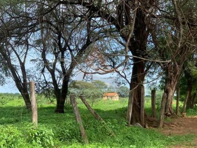 Fazenda para venda em Centro, Jaíba