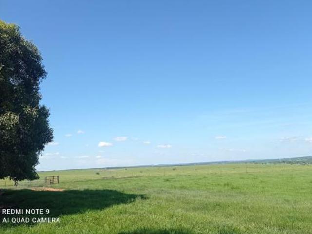 Fazenda para venda em Centro, Jales