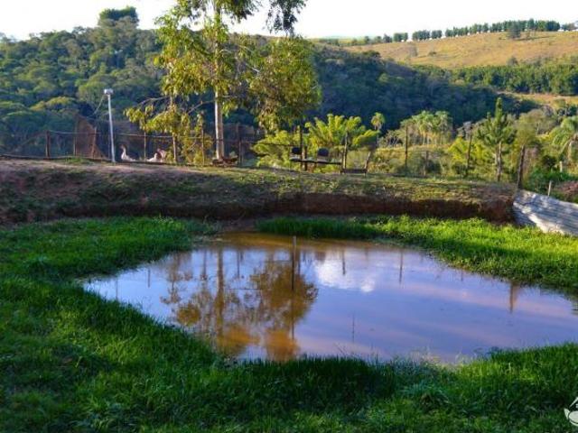 Fazenda para venda em Centro, Jambeiro