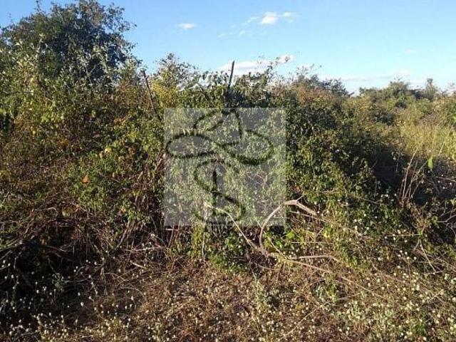 Fazenda para venda em Centro, Janaúba