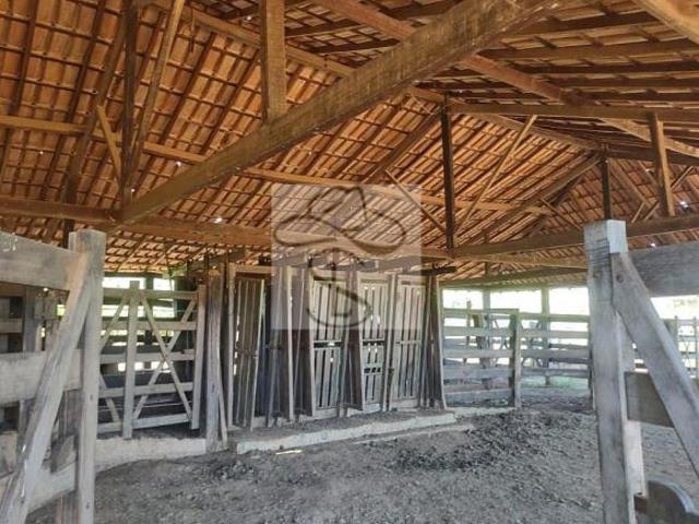 Fazenda para venda em Centro, Janaúba