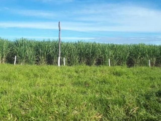 Fazenda para venda em Centro, Januária