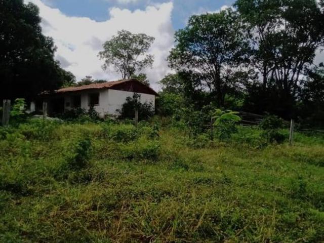 Fazenda para venda em Centro, Januária