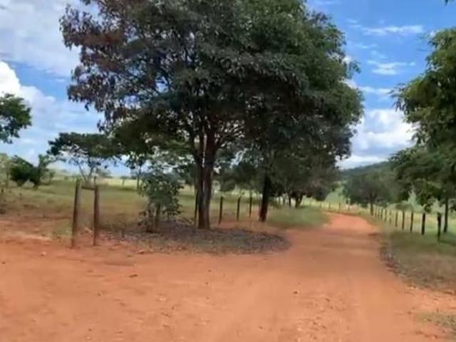 Fazenda para venda em Centro, Jequitibá