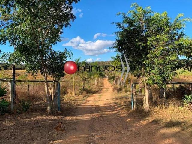 Fazenda para venda em Centro, Jequitibá