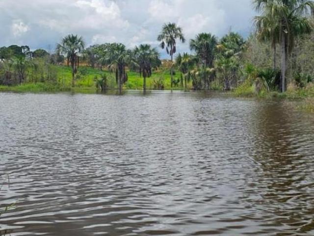 Fazenda para venda em Centro, João Pinheiro