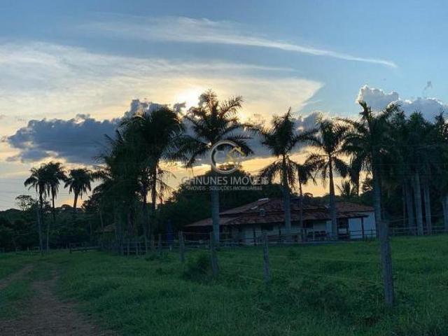 Fazenda para venda em Centro, João Pinheiro