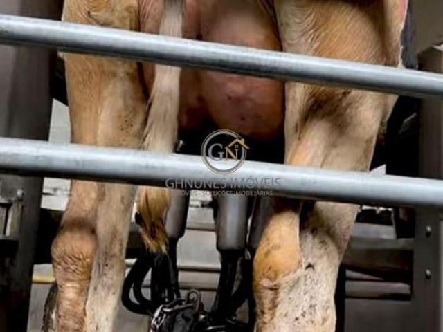 Fazenda para venda em Centro, João Pinheiro
