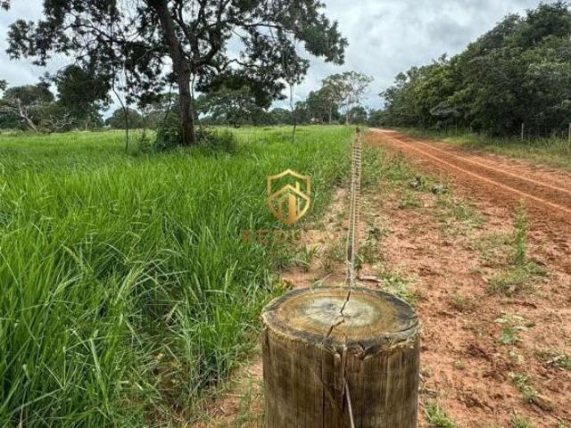 Fazenda para venda em Centro, João Pinheiro