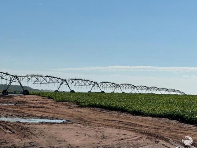 Fazenda para venda em Centro, João Pinheiro