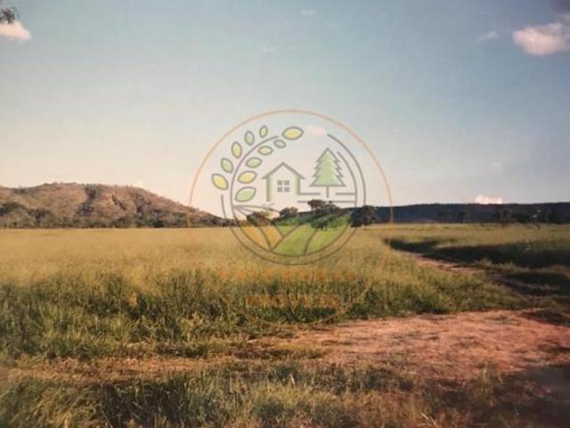 Fazenda para venda em Centro, João Pinheiro