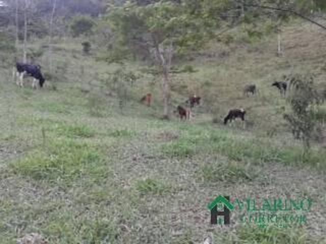 Fazenda para venda em Centro, Ladainha
