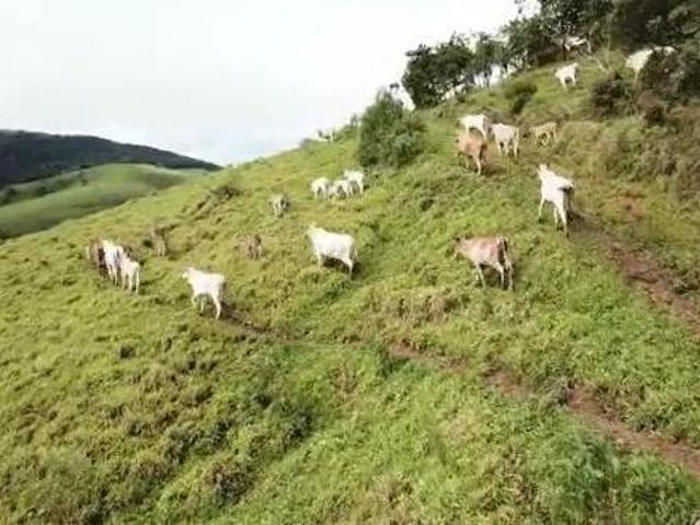 Fazenda para venda em Centro, Lambari