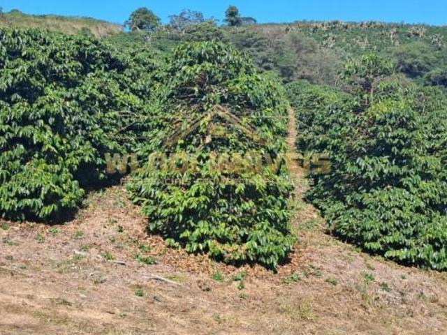 Fazenda para venda em Centro, Lambari