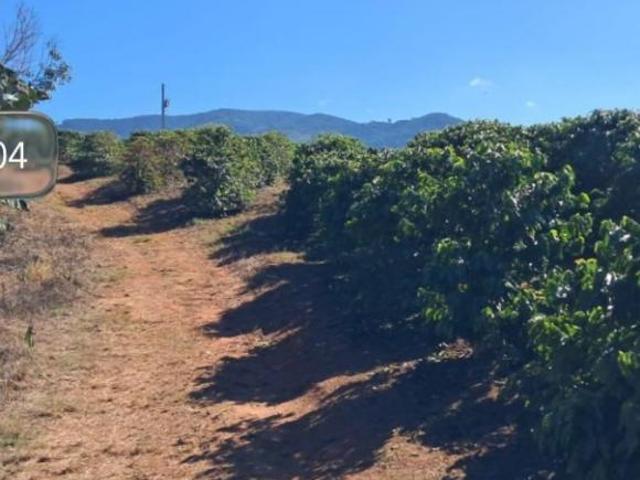 Fazenda para venda em Centro, Lambari
