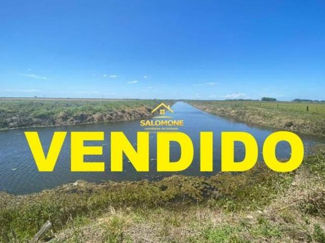 Fazenda para venda em Centro, Palmares do Sul