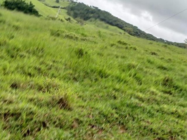 Sítio para venda em Centro, Passa Tempo