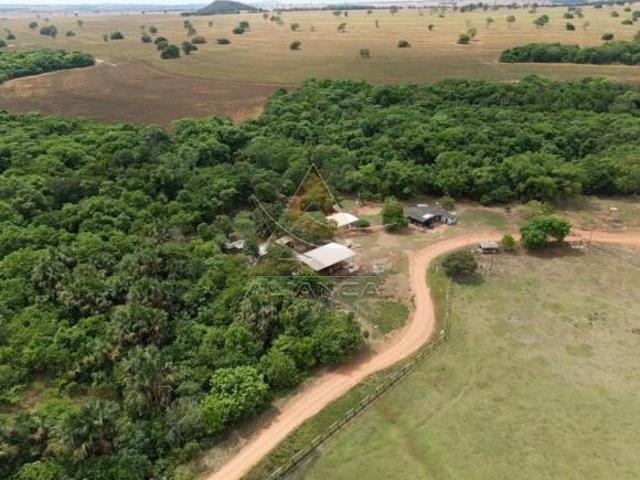 Fazenda para venda em Centro, Paraúna