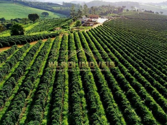 Fazenda para venda em Centro, Paraguaçu