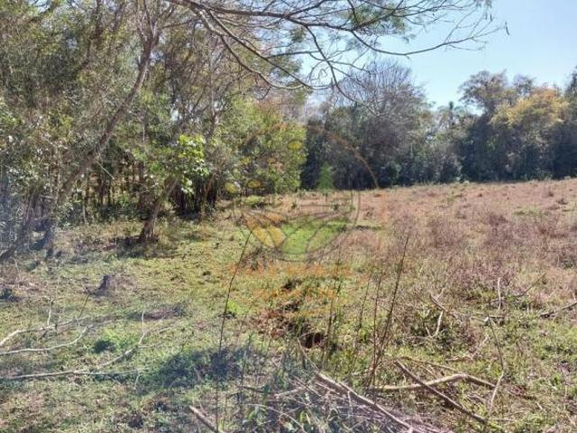 Fazenda para venda em Centro, Paraisópolis