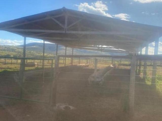 Fazenda para venda em Centro, Paraopeba