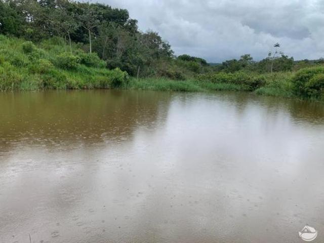 Fazenda para venda em Centro, Patos de Minas