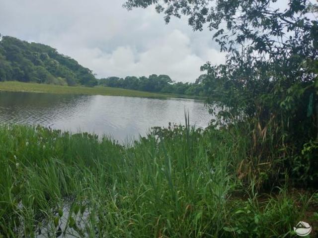 Fazenda para venda em Centro, Patos de Minas