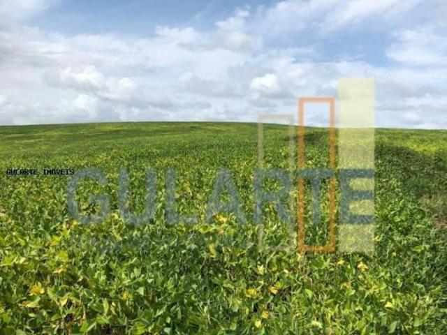 Fazenda para venda em Centro, Pedras Altas