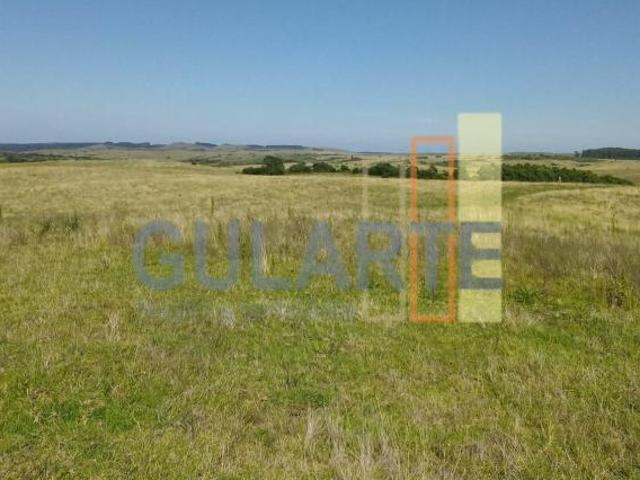 Fazenda para venda em Centro, Pedras Altas