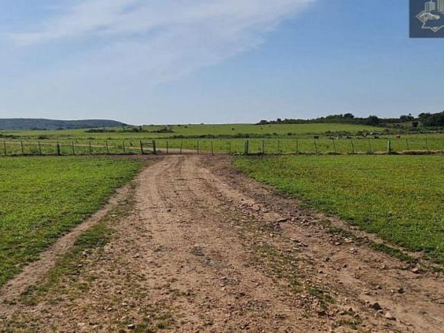 Fazenda para venda em Centro, Pedras Altas