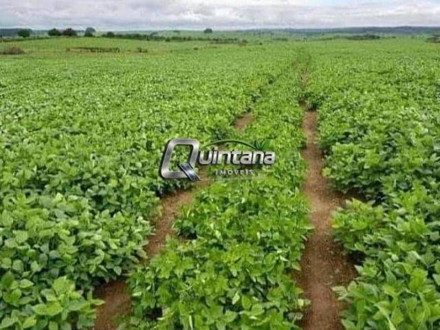 Fazenda para venda em Centro, Pedras Altas