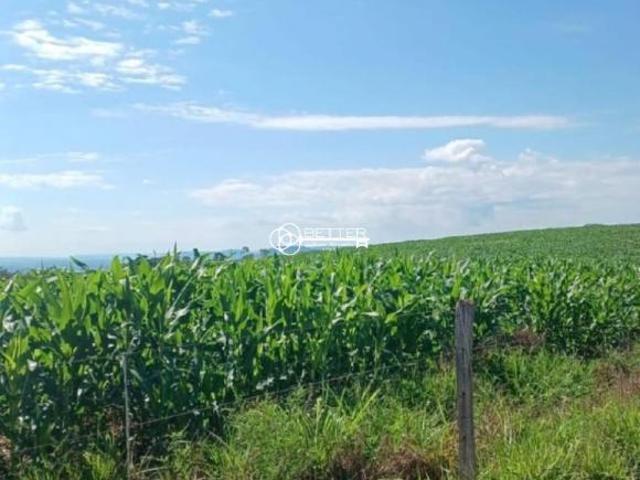 Fazenda para venda em Centro, Pedregulho