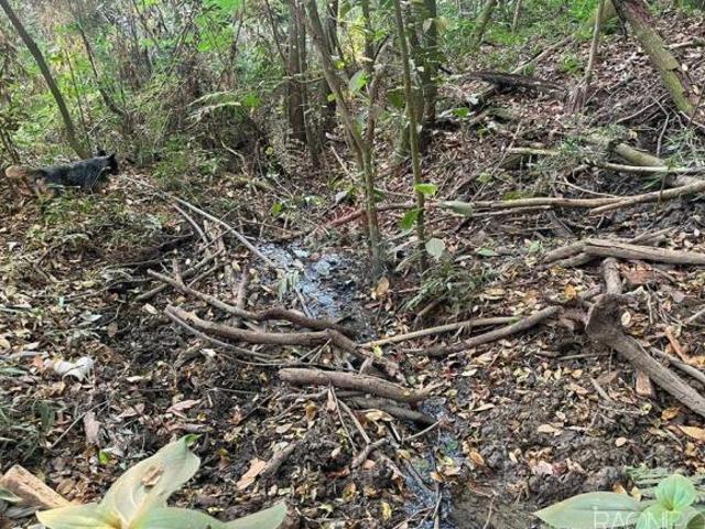Fazenda para venda em Centro, Perdizes