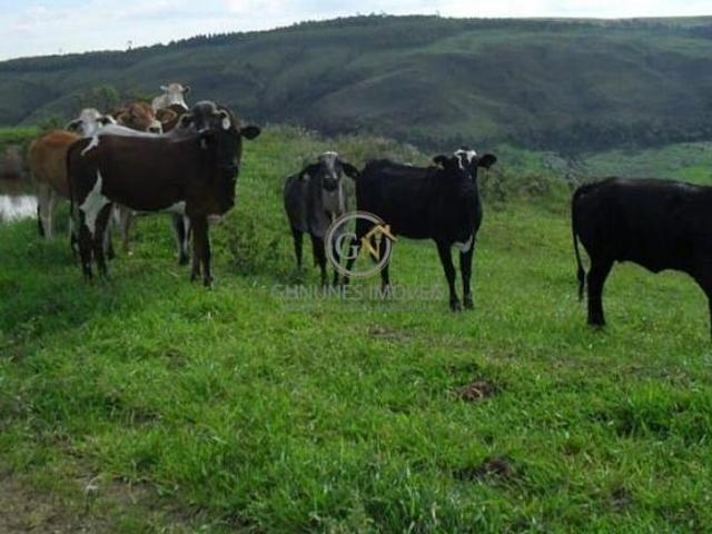 Fazenda para venda em Centro, Pimenta