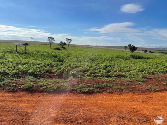 Fazenda para venda em Centro, Pimenta