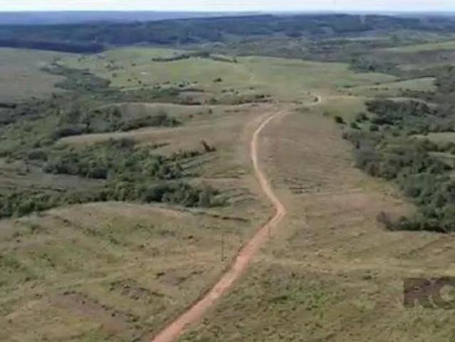 Fazenda para venda em Centro, Pinheiro Machado